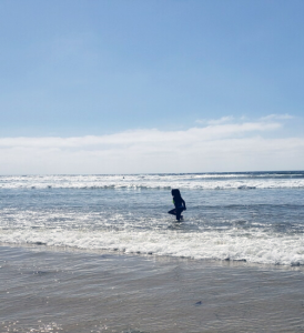 Beach day