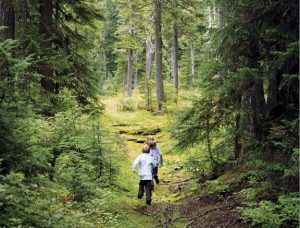 Kids running in the forest