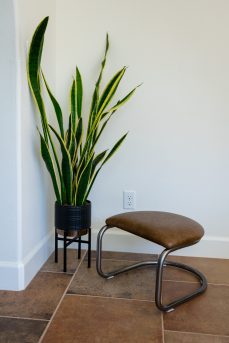 The Lorren Ottoman in Brown-Olive and Natural Steel