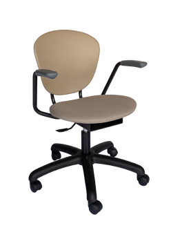 Parison Desk Chair with Arms